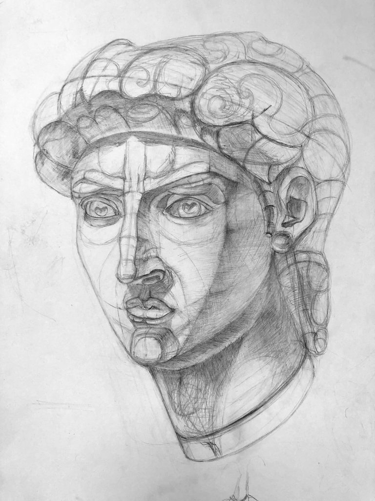 Head study V